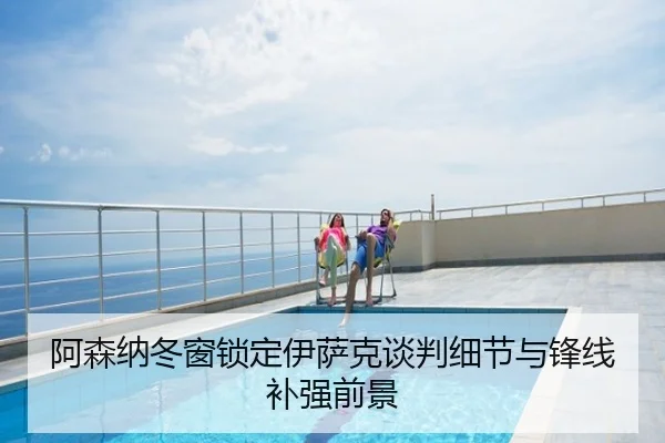 阿森纳冬窗锁定伊萨克谈判细节与锋线补强前景